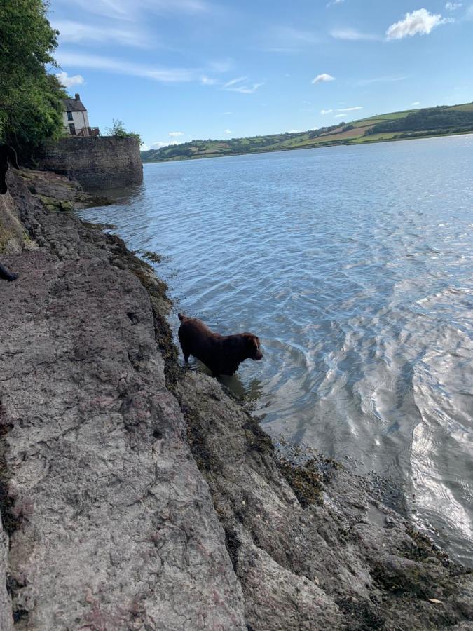 Dylan Thomas Sea View Bed and Breakfast Laugharne Εξωτερικό φωτογραφία
