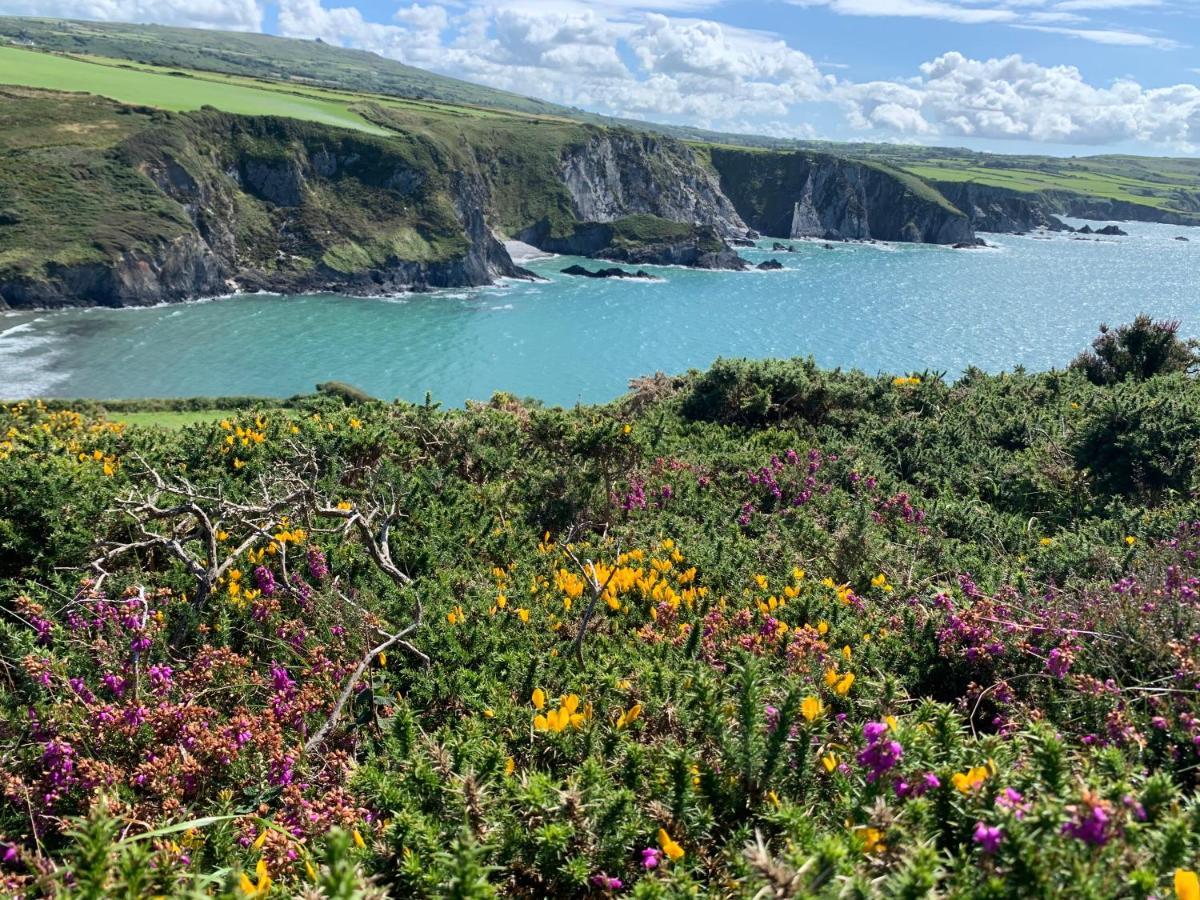 Dylan Thomas Sea View Bed and Breakfast Laugharne Εξωτερικό φωτογραφία