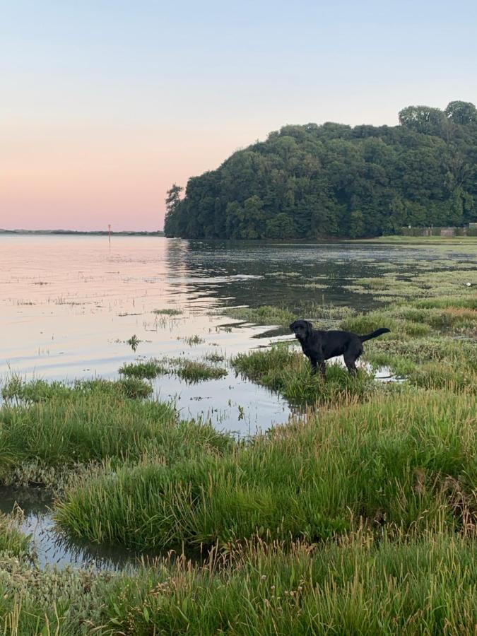 Dylan Thomas Sea View Bed and Breakfast Laugharne Εξωτερικό φωτογραφία